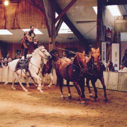 Poste à quatre chevaux Arnaud Ranch et Spectacles