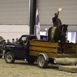 Pick-up avec cheval embarqué Arnaud Ranch et Spectacles